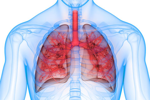 RESPIRATORY HEALTH