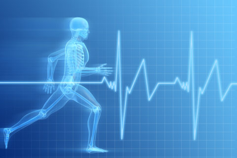 EXERCISE PHYSIOLOGY