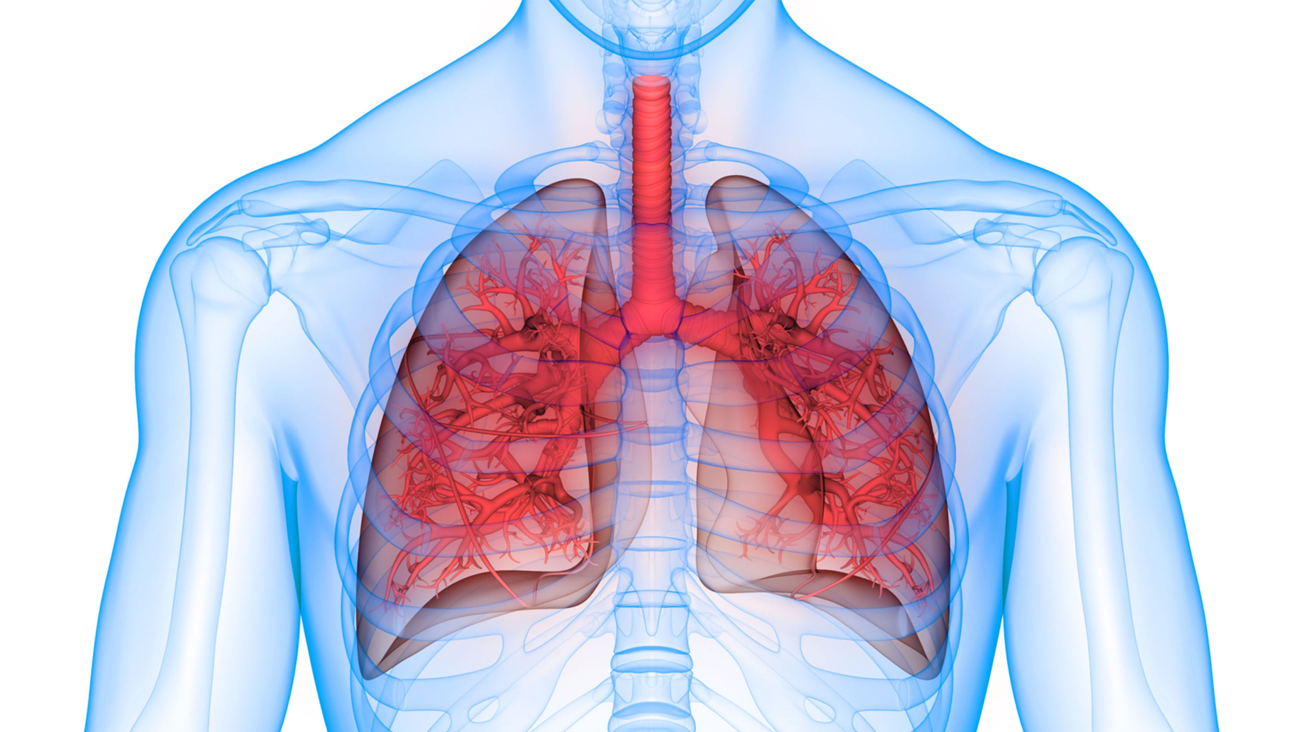 respiratory research